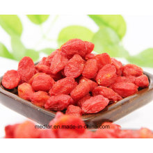 Aliments de santé de nèfle Himalayan Goji Berry